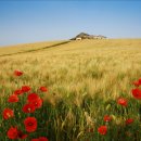 대림목장 이미지