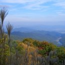 (주)그린고속관광 이미지