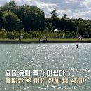 달뜨는민박 | 유럽여행 경비 공유 항공권 특가 숙소 추천 총 정리