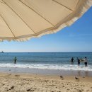 오션스파 이미지