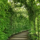 논현도원한의원 이미지