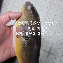 강경옥식당 네이버블로그