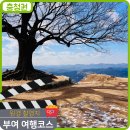 서동요 촬영지 | 부여 원경 촬영지 여행코스 성흥산성 사랑의 나무 여흥민씨고택 구경정