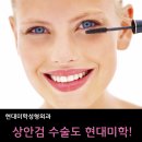 황호성형외과 이미지