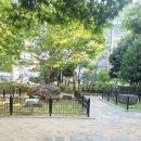 상남동224 이미지