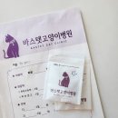 바스텟고양이병원 | 대전 동물병원) 바스텟 고양이병원 건강검진/스케일링/전발치 비용과 후기