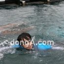 어푸어푸 이미지