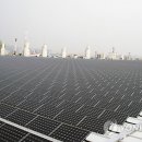 장미태양광발전소 이미지