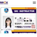 검정 | 24/25 스키 티칭1 검정 후기
