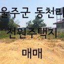 울산시(동천리) 네이버블로그