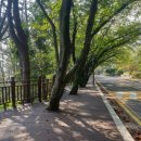 기장군청 맞은편 이미지