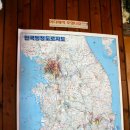 제주게스트하우스봄꽃 이미지