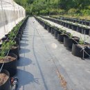 성정농장 이미지