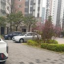 드림메디칼 | 다산동 피부관리, 올가드림뷰티 다산신안점 메디컬 케어후기