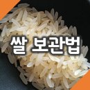 쌀 이미지