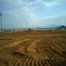 천우 농장 이미지