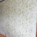 [셀프인테리어] 벽지페인트로 집안분위기 화사하게 만들기 이미지