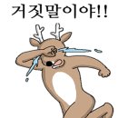 명지가야밀면 이미지