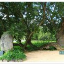 한개마을 이미지