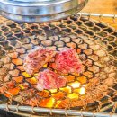 (주)늘푸른목장 이미지