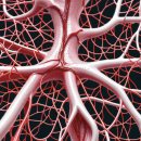 헬스트론 이미지