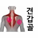 필라테스메소드