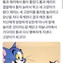 톰과제리 이미지