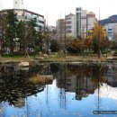 덕천교차로 이미지