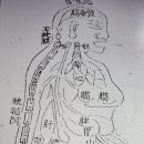 동의보감요약정리 ㅡ440 편 이미지