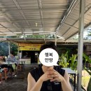 7박 8일 발리 여행 Part 2. 림바 아야나 후기 | 길리에서 아야나 가는 법 택시 예약, 락바 메뉴, 아야나...