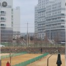 정촌 파크골프장 이미지