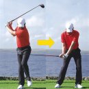 엘리트핏24 골프 이미지