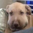 상봉동틀이치과의원 | 강동구에서 제일 잘하는 치과