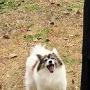 파래소 빨간지붕 이미지