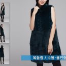 대동모피