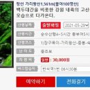 금강투어