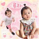 춘참치 - 안산시 단원구 선부광장로 27 | 춘참치