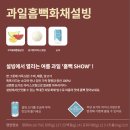 설빙 신메뉴 | 과일흠뻑화채설빙 가격 칼로리 (+ 매콤떡볶이)