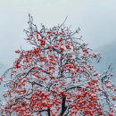 마석16리 네이버블로그