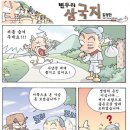 선녀와나무꾼 이미지