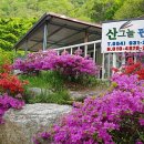 성주 산그늘펜션 이미지