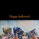 용인대 태풍 태권도장 이미지