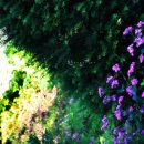 우리들민박 이미지