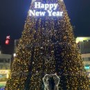 박승광해물손칼국수 아산점 이미지