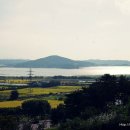 탑정호가 이미지