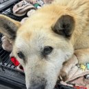 행운쉼터 이미지