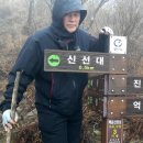 곡성-138 Daum카페