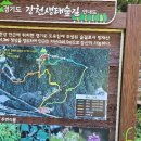 잔차