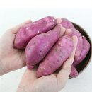 팔도농장 이미지