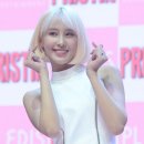유하 스포츠조선